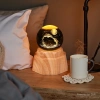 Dolphin Moon Luminous Crystal Ball Night Light, 3d engraved starry sky, solid wood base, creative desktop decoration, birthday gift details Picture